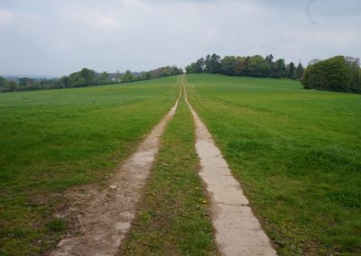 Broadlears agroforestry field East corner, May 2017