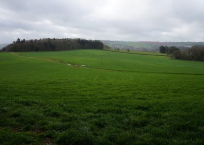 Broadlears agroforesty field North corner, March 2017