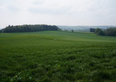 Broadlears agroforesty field North corner, May 2017