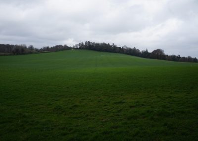 Broadlears agroforesty field South corner, March 2017