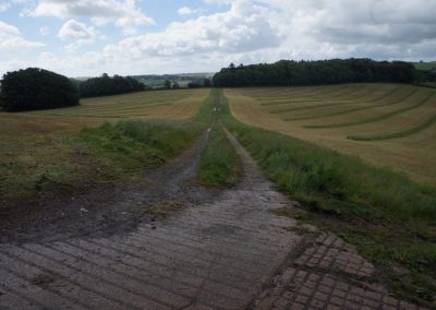 Broadlears agroforesty field West corner, June 2017