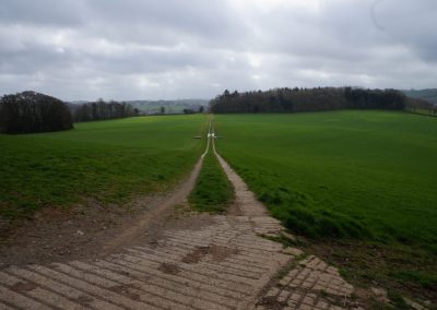 Broadlears agroforesty field West corner, March 2017