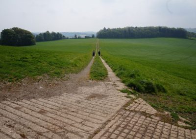 Broadlears agroforesty field West corner, May 2017