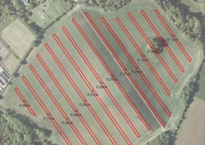 First proposed layout done for us by the Woodland Trust