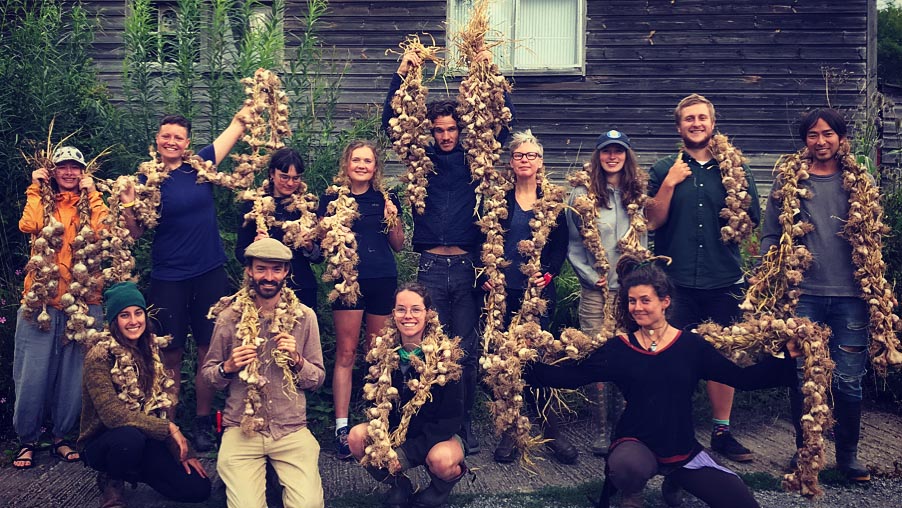 sustainable horticulture students with garlic sustainable horticulture students with garlic