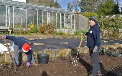 Military Veterans break new ground in Dartington’s walled garden