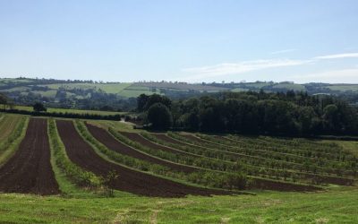 Thriving together at the Oxford Real Farming Conference