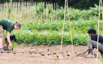 New scholarship to help diversify access to horticulture training