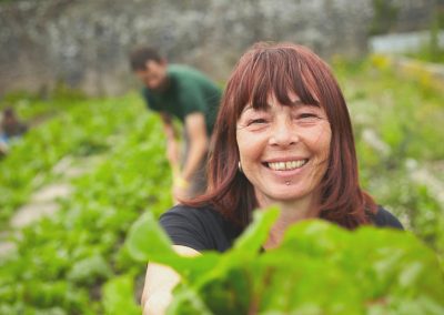 Volunteer Opportunity: Walled Garden