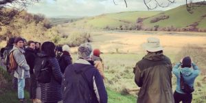 Schumacher College students explore Ambios's rewilding at Lower Sharpham Farm