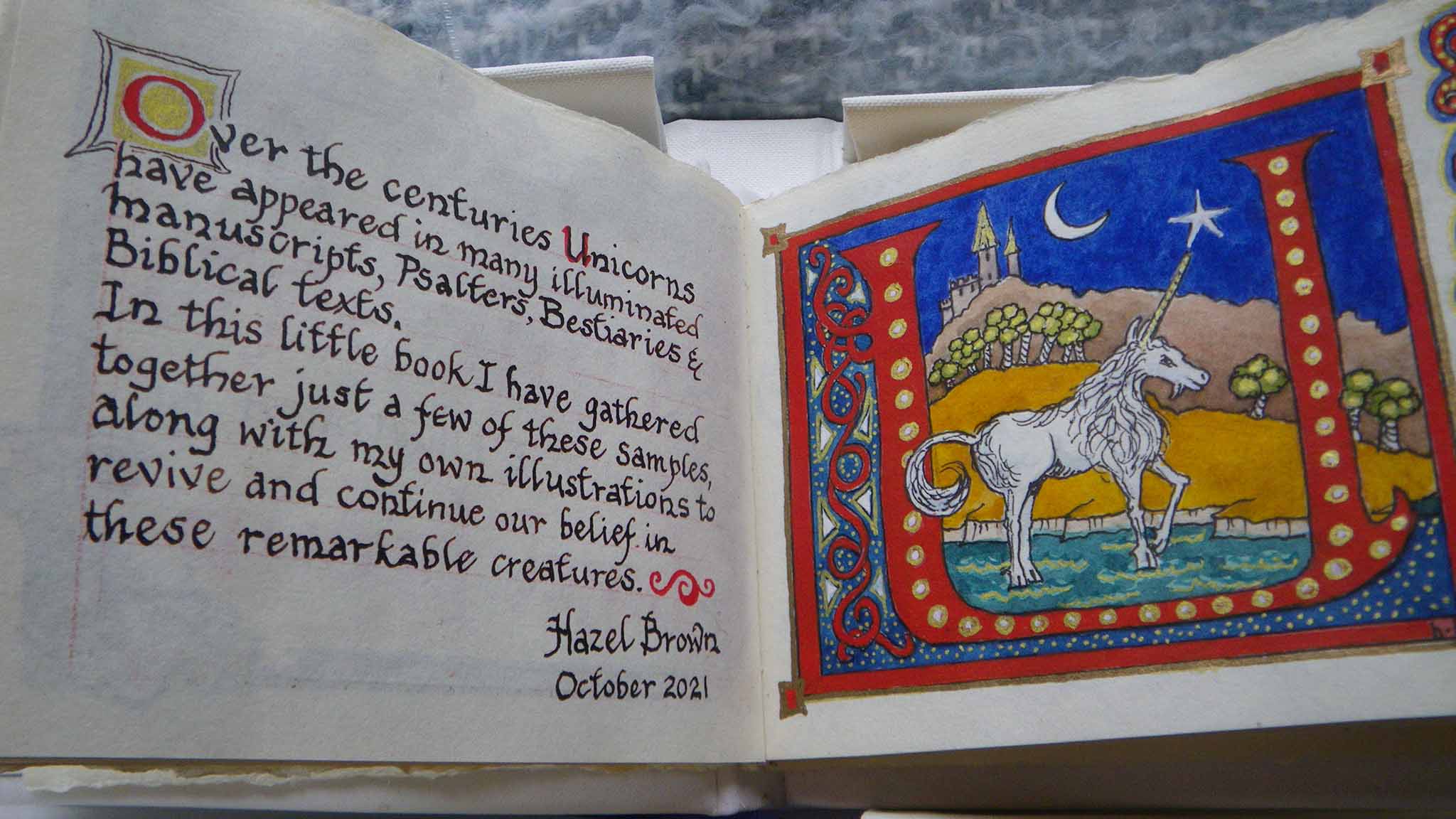 hazel's book 2 hazel's book 2