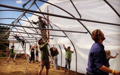 Polytunnels boost self-sufficiency and help beat the ‘hungry gap’