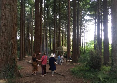 Redwoods