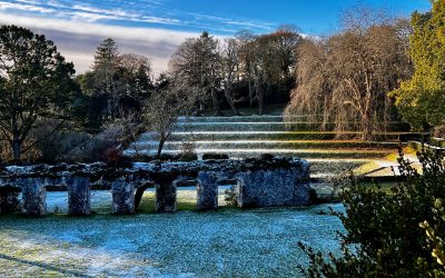 Winter gardening for wellbeing