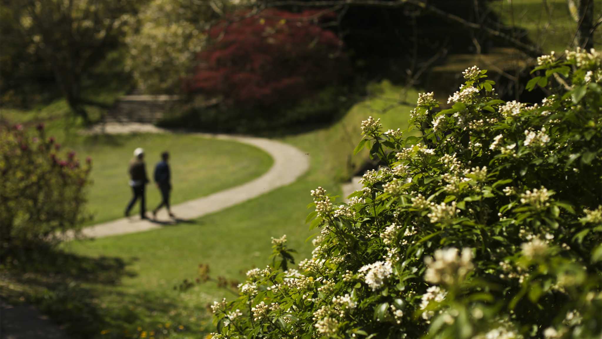 gardens couple gardens couple