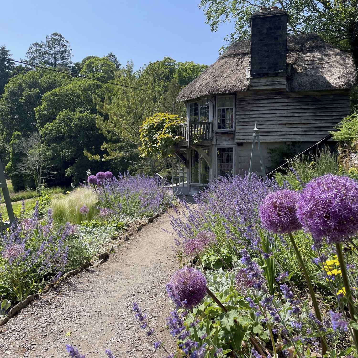 nectar garden nectar garden