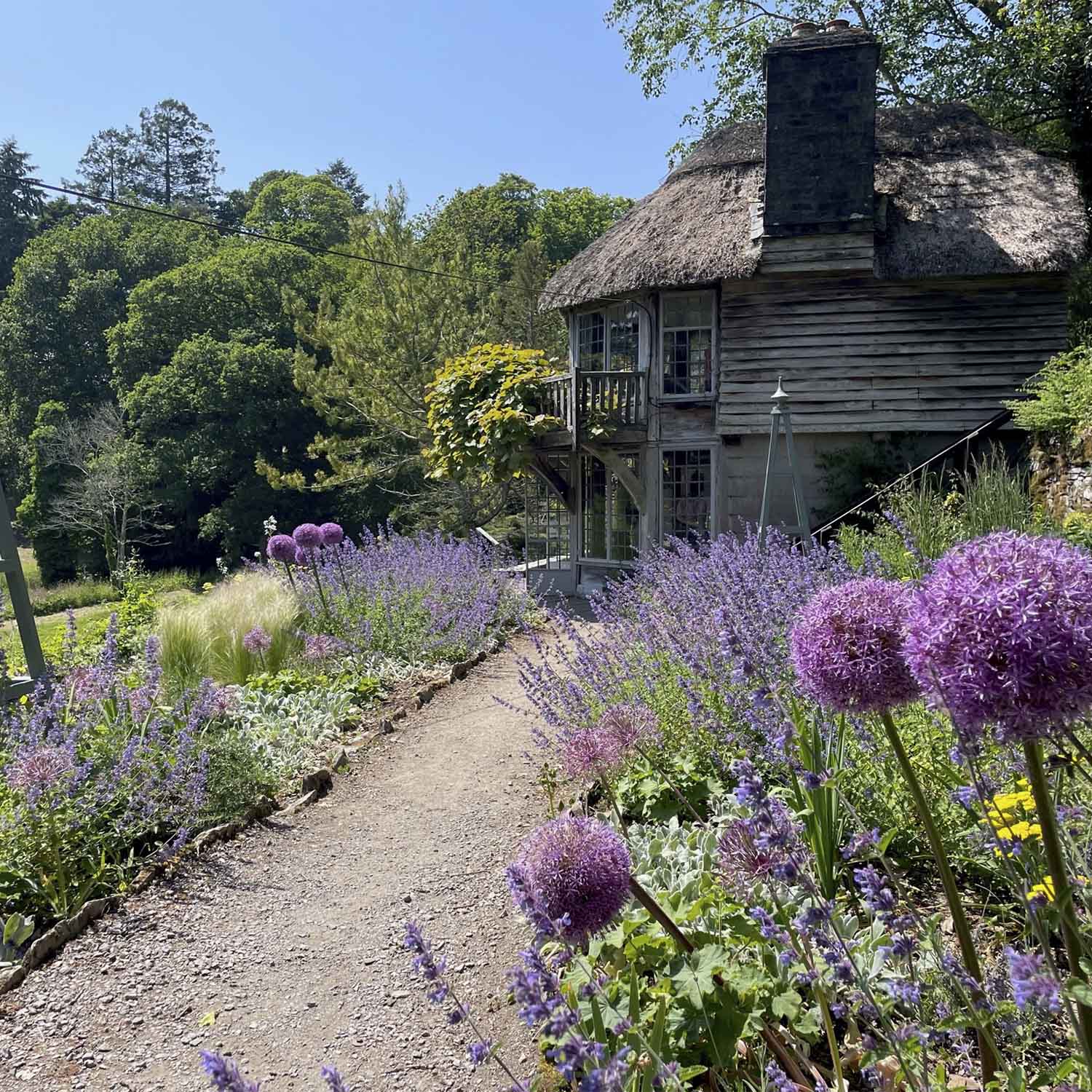 nectar garden