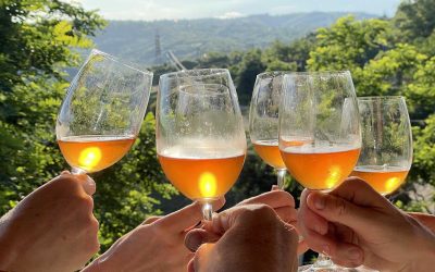 Red, white…and orange? A guide to Georgian wine