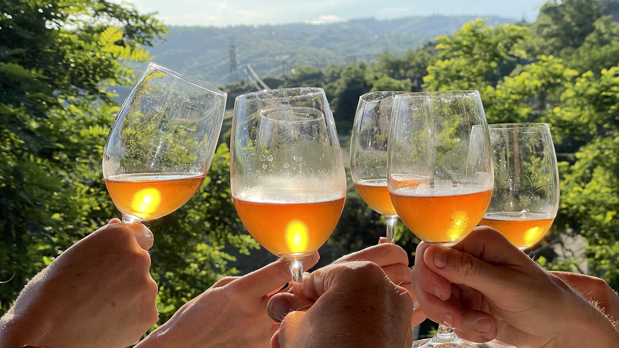 wine glasses with Georgian Wine toasting